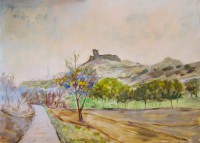 /album/paesaggi/a70089-campagna-di-squillace-cm-43-x60-2-jpg1/